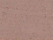 Pigment 243 Cappuccino